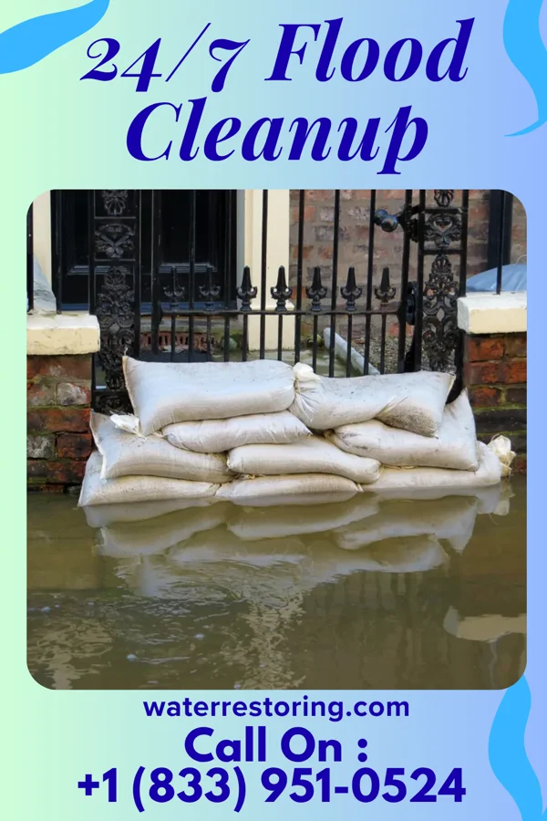 24/7 Flood Cleanup in Golden Beach, FL
