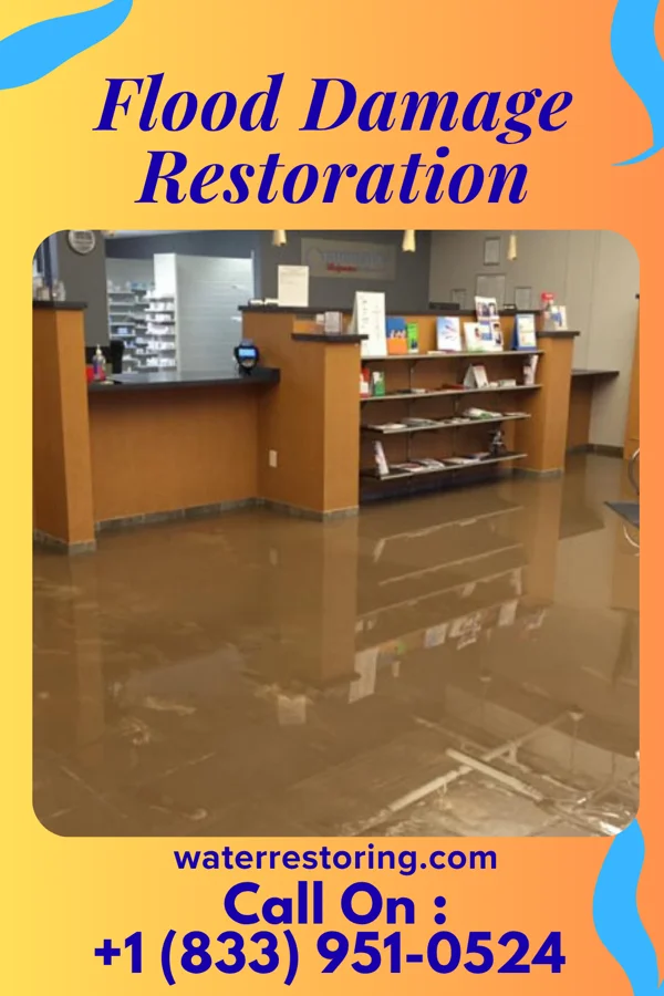 Flood Damage Restoration in Golden Beach, FL